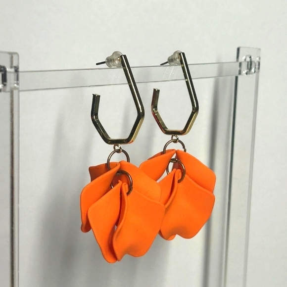 Earrings - Picture 1 of 3